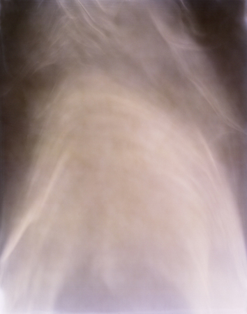 light12 bischoff